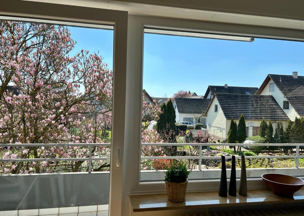 Ferienwohnungen Verma Schwanau Kültér fotó